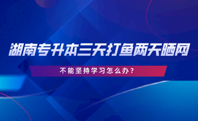 2024年湖南專升本三天打魚兩天曬網(wǎng)，不能堅持學(xué)習(xí)怎么辦.png