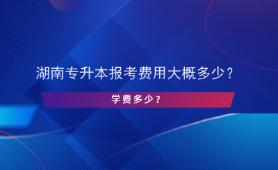 湖南專(zhuān)升本報(bào)考費(fèi)用大概多少？學(xué)費(fèi)多少？.png