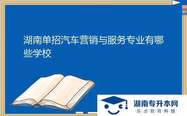 湖南單招汽車營(yíng)銷與服務(wù)專業(yè)有哪些學(xué)校