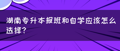 湖南專升本報班和自學(xué)應(yīng)該怎么選擇？(圖1)