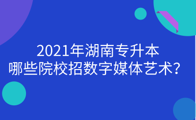 2021年湖南專(zhuān)升本哪些院校招數(shù)字媒體藝術(shù)？.png