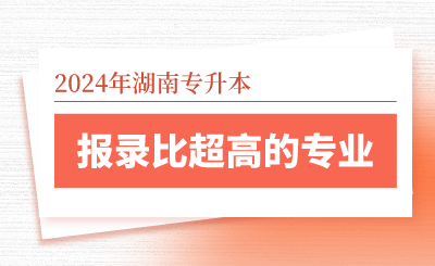 2024年湖南專(zhuān)升本報(bào)錄比超高的專(zhuān)業(yè)