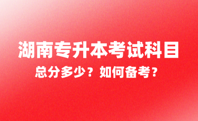 2025年湖南專升本考試科目總分多少？如何備考？