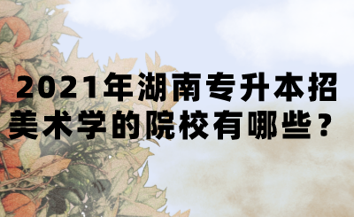 2021年湖南專升本招美術學的院校有哪些？(圖1)