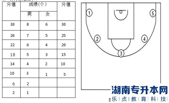 2023年邵陽學(xué)院專升本籃球測試細(xì)則及評分標(biāo)準(zhǔn)(圖3)