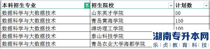 2023年山東專升本數(shù)據(jù)科學(xué)與大數(shù)據(jù)技術(shù)招生學(xué)校及計劃