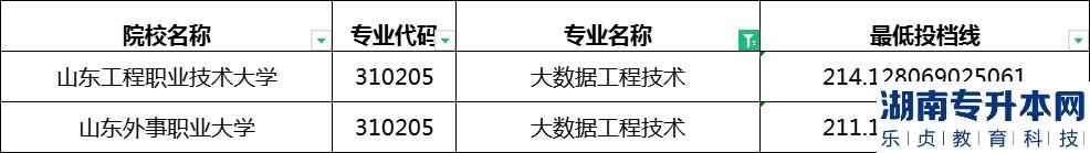 2023年山東專升本大數據工程技術專業(yè)最低投檔分數線