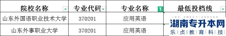 2023年山東專升本應用英語建檔立卡投檔分數線