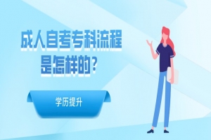 自考本科:成人自考??屏鞒淌窃鯓拥??