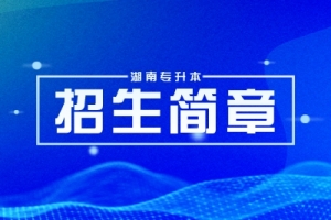 2024年湖南財政經(jīng)濟(jì)學(xué)院專升本考試免試生綜合測試方案