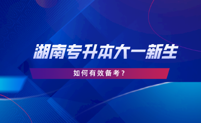 湖南專升本大一新生如何備考？新生必看指南！