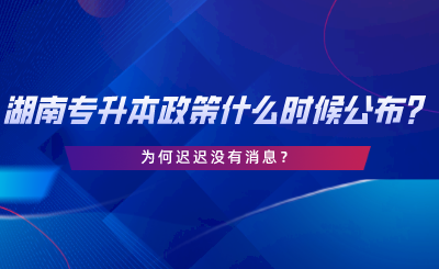 2024年湖南專升本政策什么時(shí)候公布？為何遲遲沒(méi)有消息.png